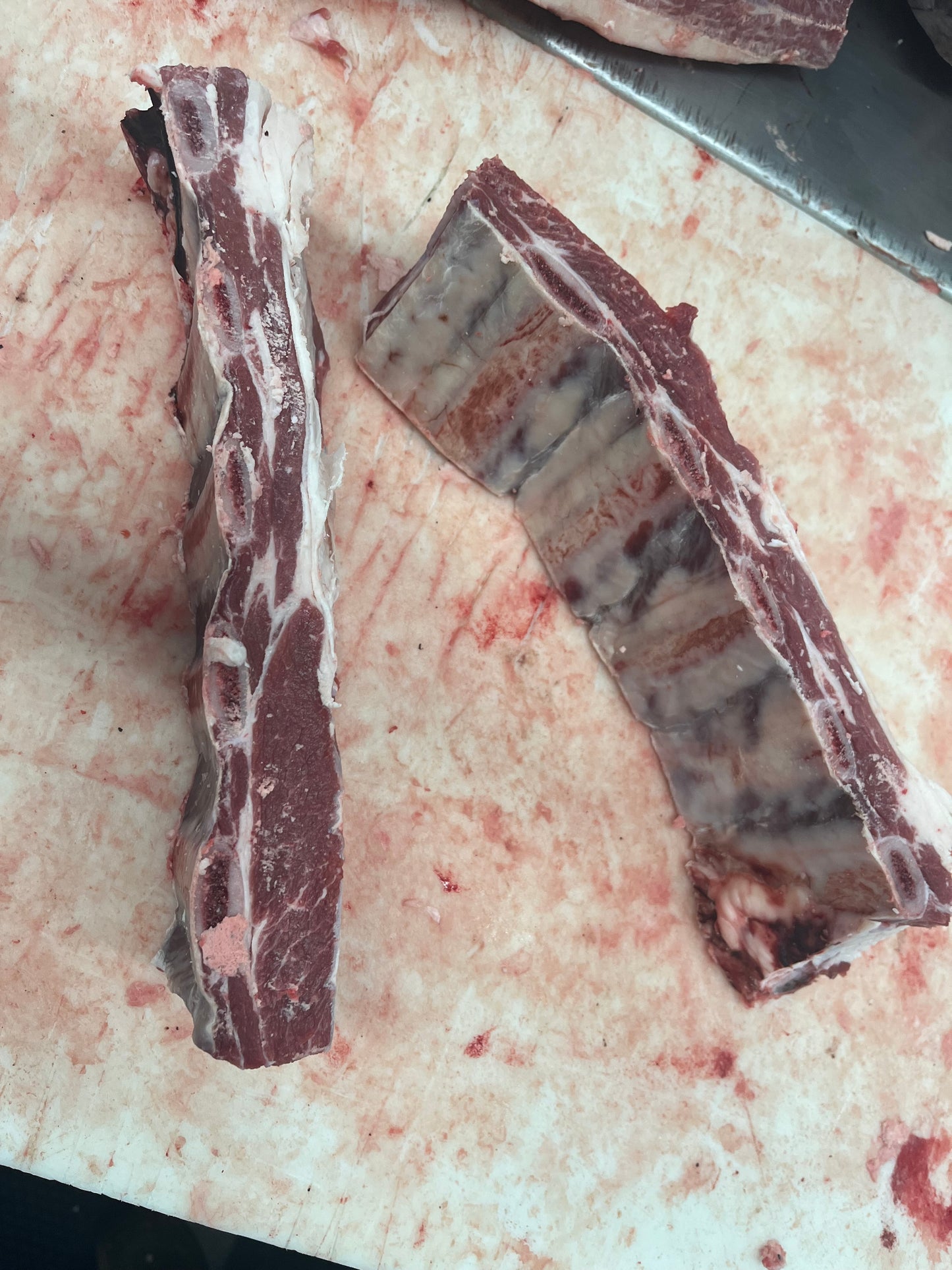 Carnivore Bundle