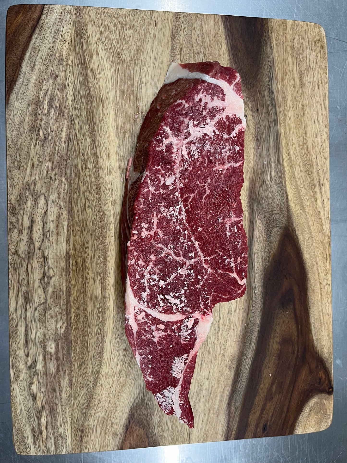 Carnivore Bundle