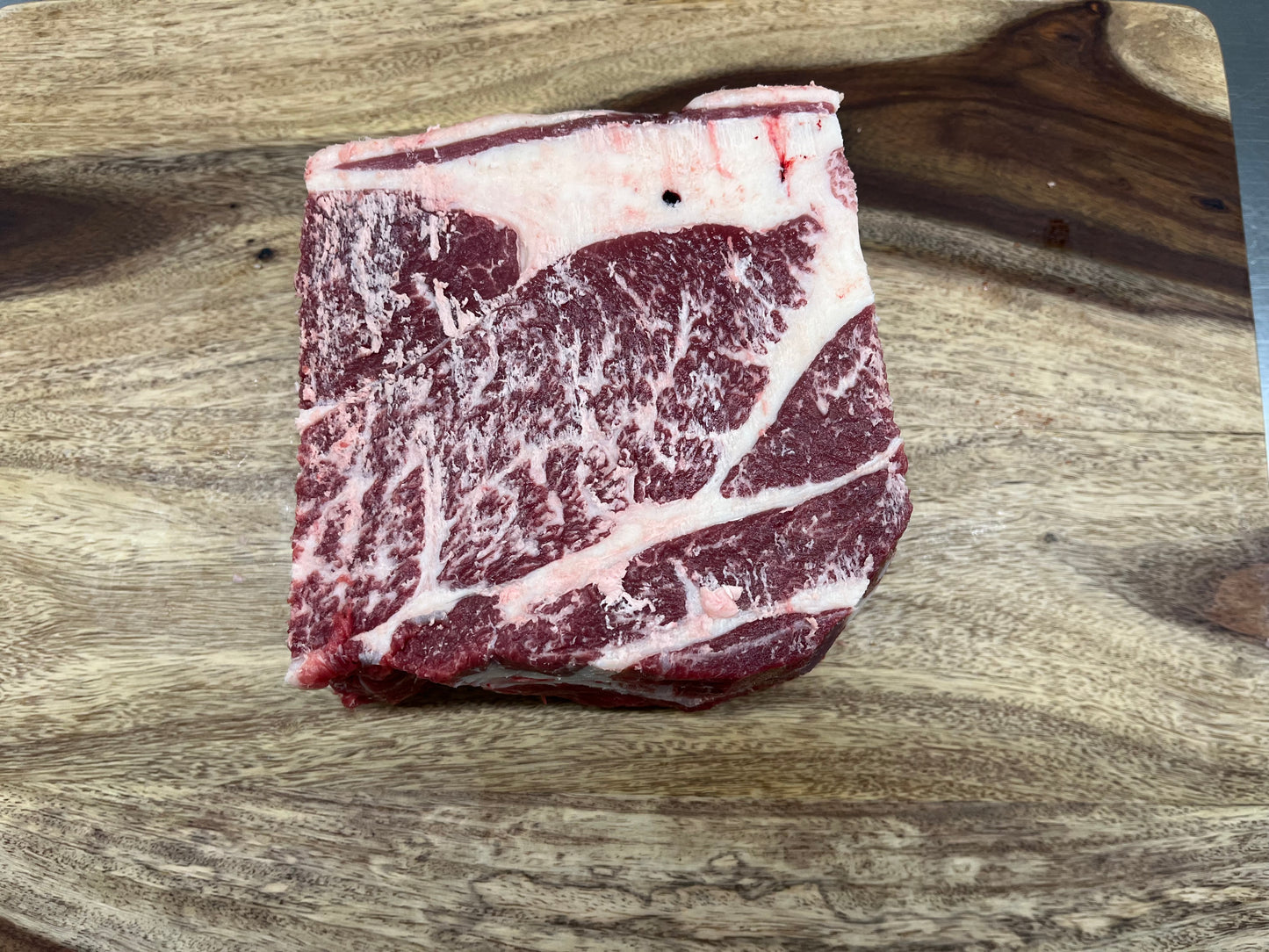 Carnivore Bundle