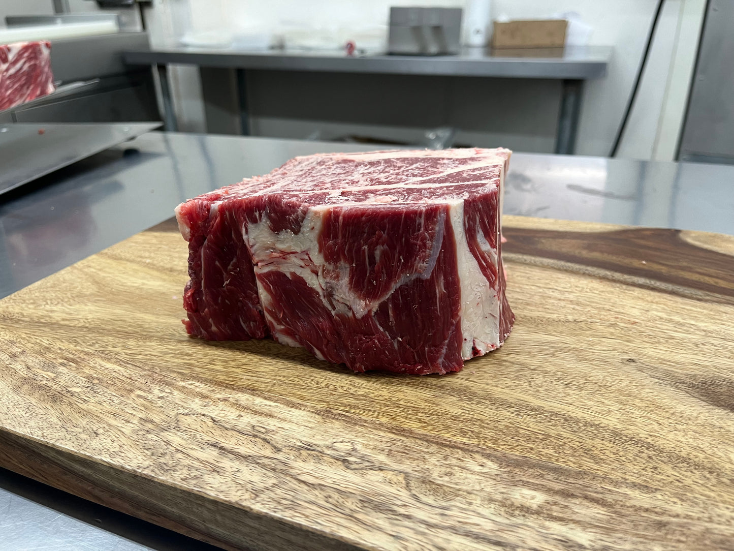 Carnivore Bundle