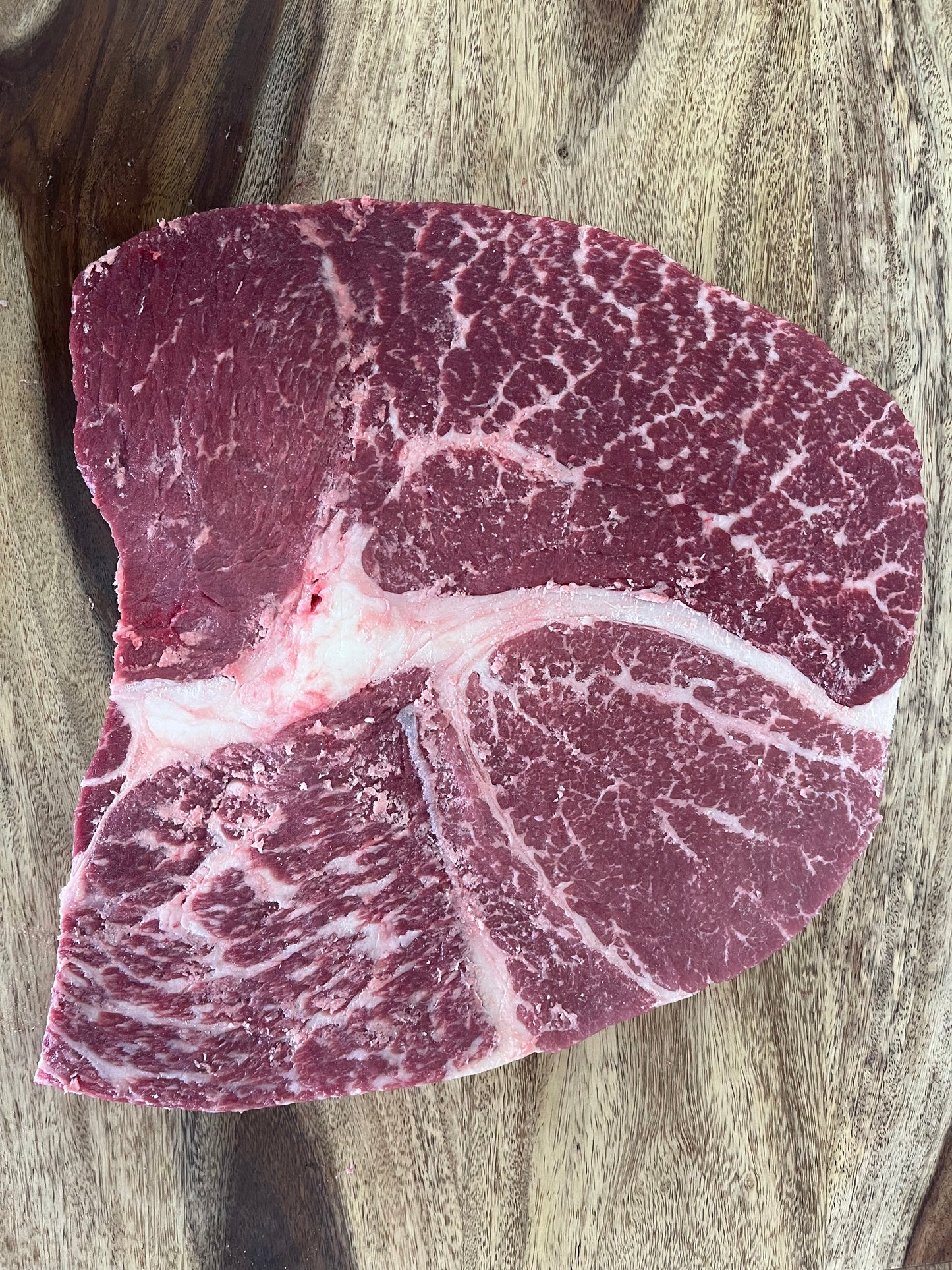 Carnivore Bundle